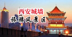 爆插骚屄视频在线观看中国陕西-西安城墙旅游风景区